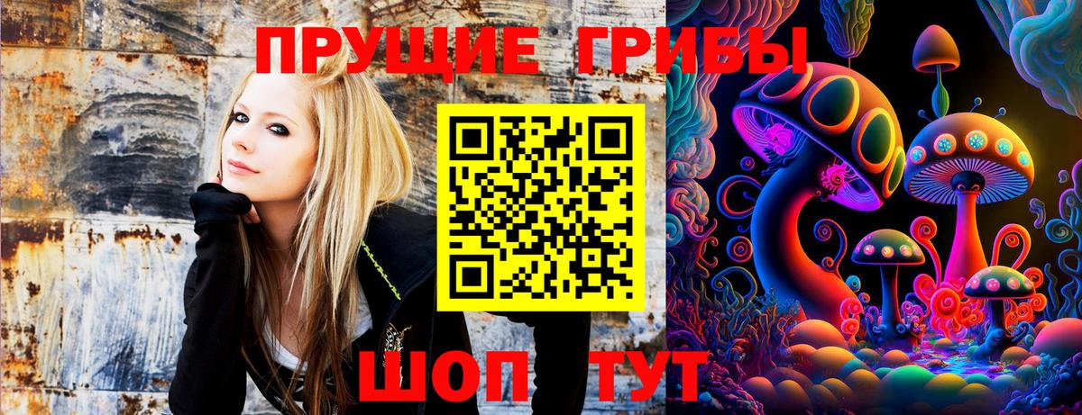 Псилоцибиновые грибы Psilocybine cubensis  Галлюциногенные грибы мицелий  Вход с VPN  где найти   Качканар 