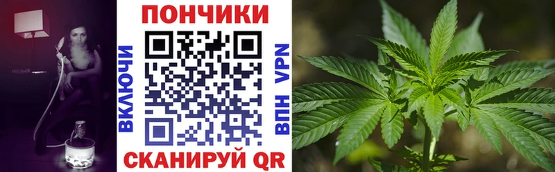 МАРИХУАНА Amnesia  Качканар 